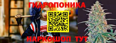 шишки Бузулук